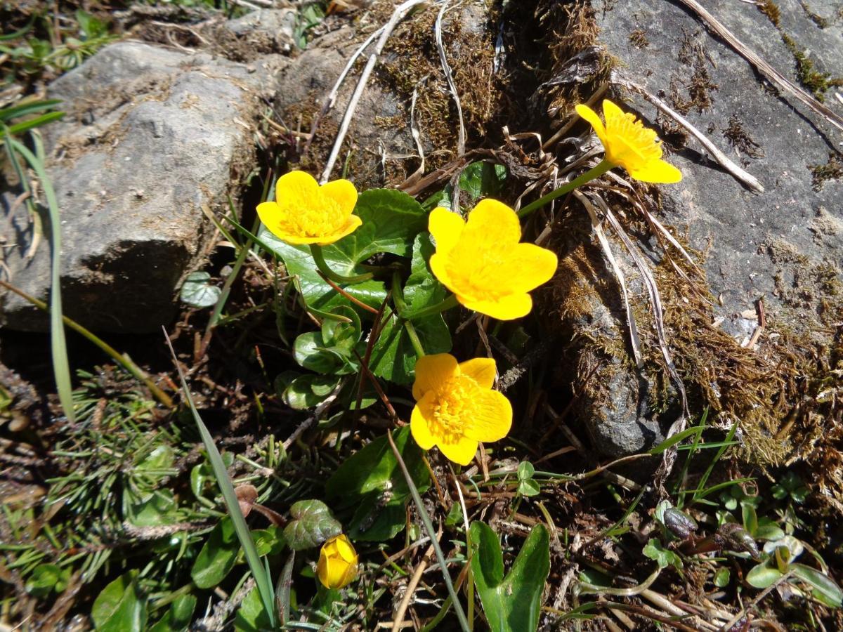 Kro Berggasthof Sonne Allgaeu 3*