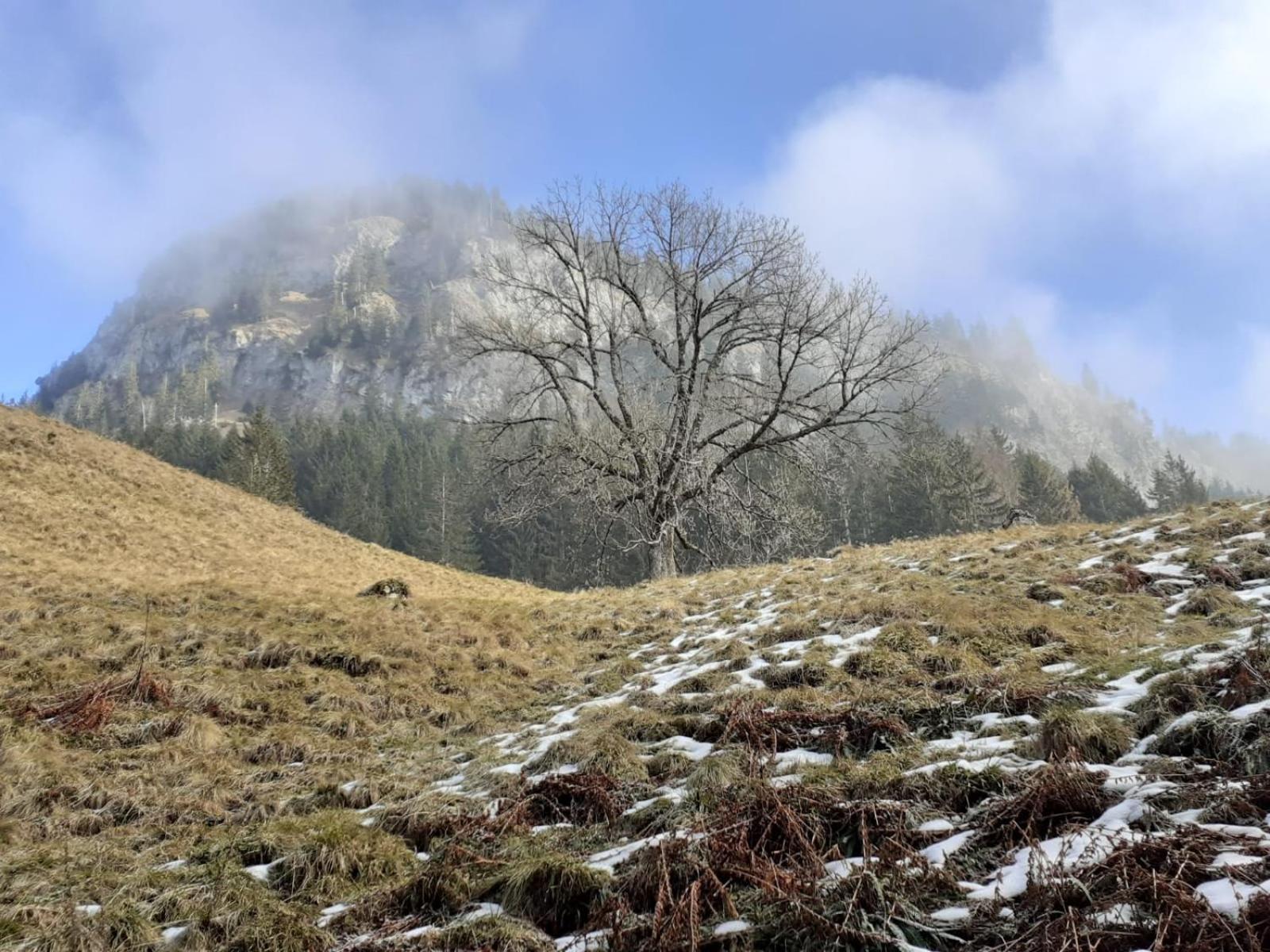 Berggasthof Sonne Allgaeu Sonthofen